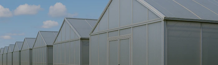 фото категории